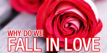 Do people really fall in love essay