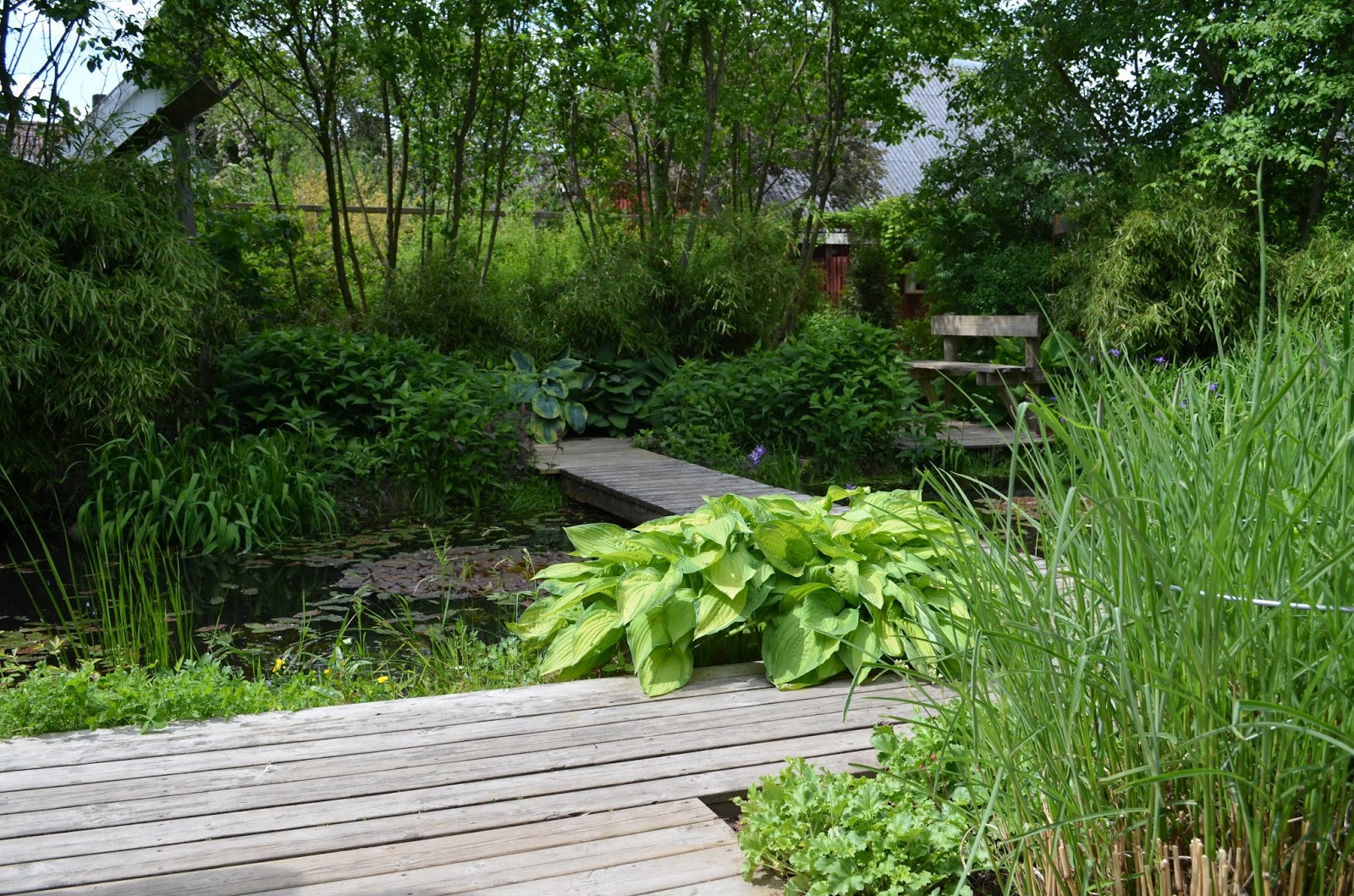 Kungsbacka trädgårdsdesign: maj 2013