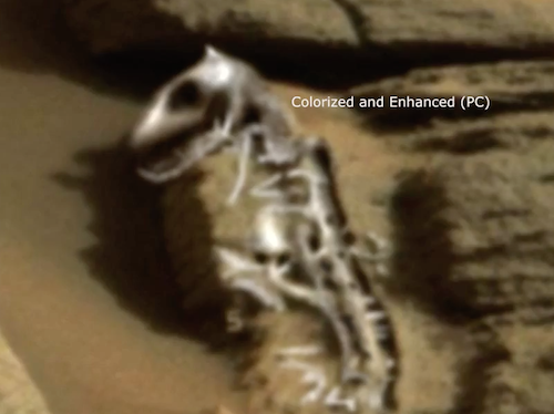 Dinosaur Mars Ancient Dinosaur Fossil Found On Mars 2015, UFO Sightings
