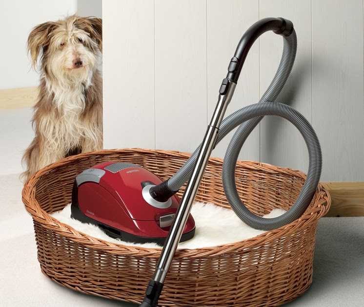 The Modern Housewives How to Clean a Clogged with Hair Vacuum Cleaner