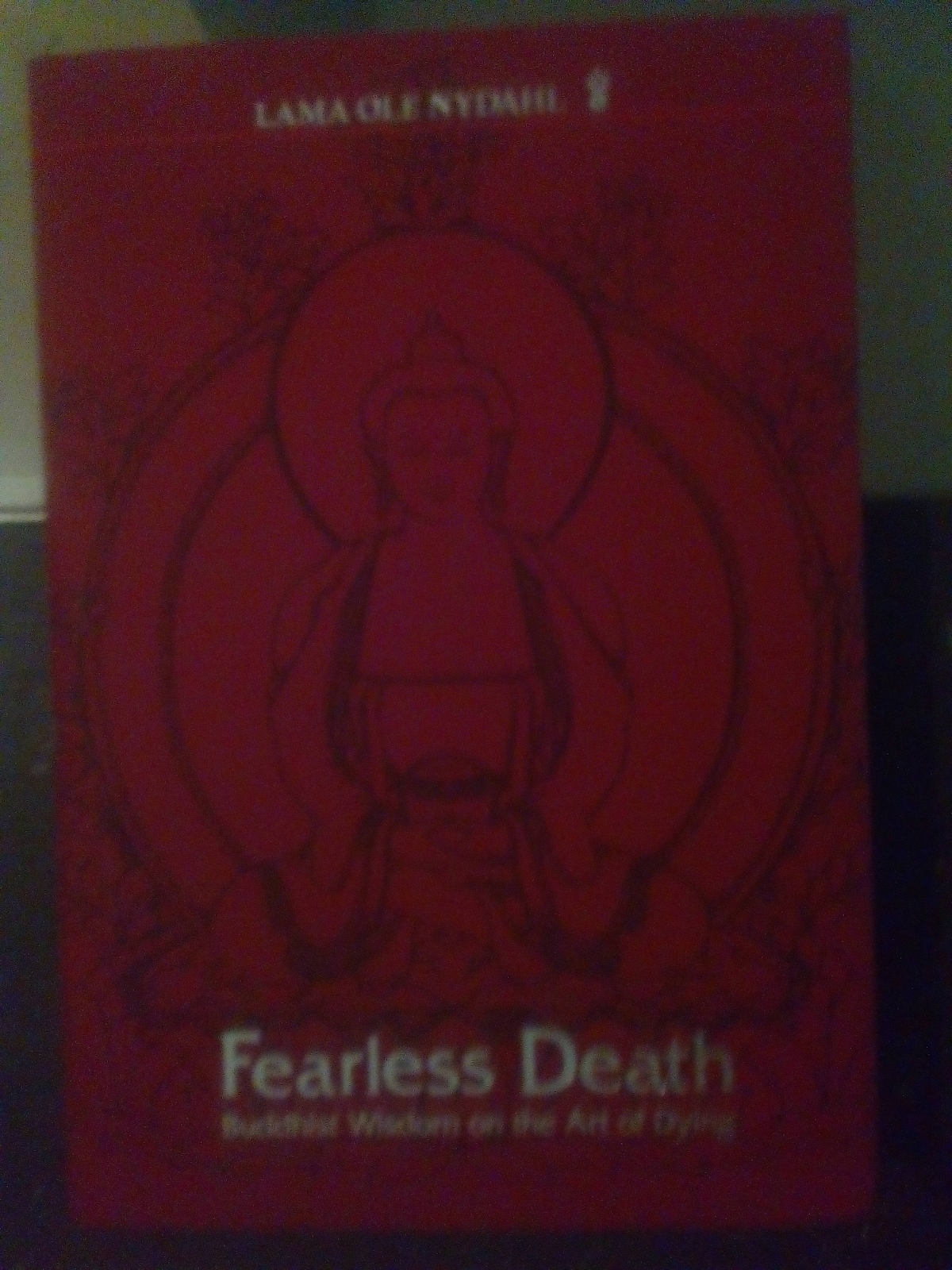 'Fearless Death' by Lama Ole Nydahl.