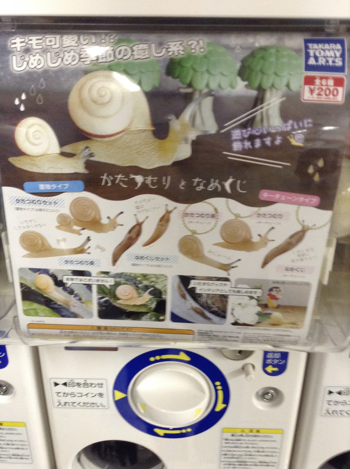 全6種セット かたつむりとなめくじ Exuconsulting Ch