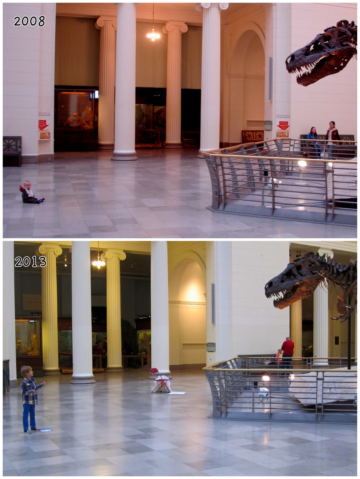 A Day at the Field Museum