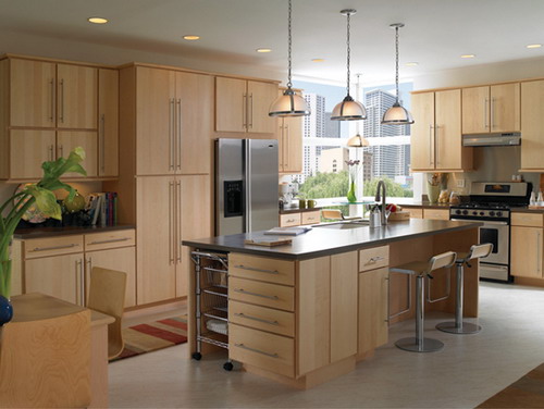 Build Contemporary Kitchen Cabinets To Transform Your Kitchen With The