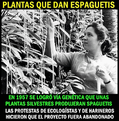 noticias-plantas-espaguetis