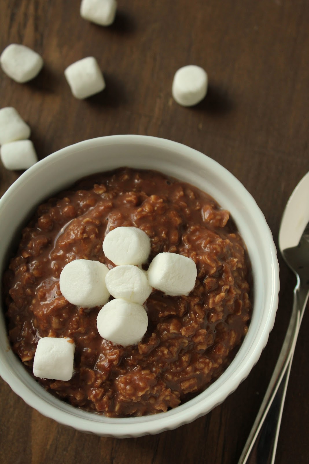 Hot Cocoa Oatmeal Delicious as it Looks