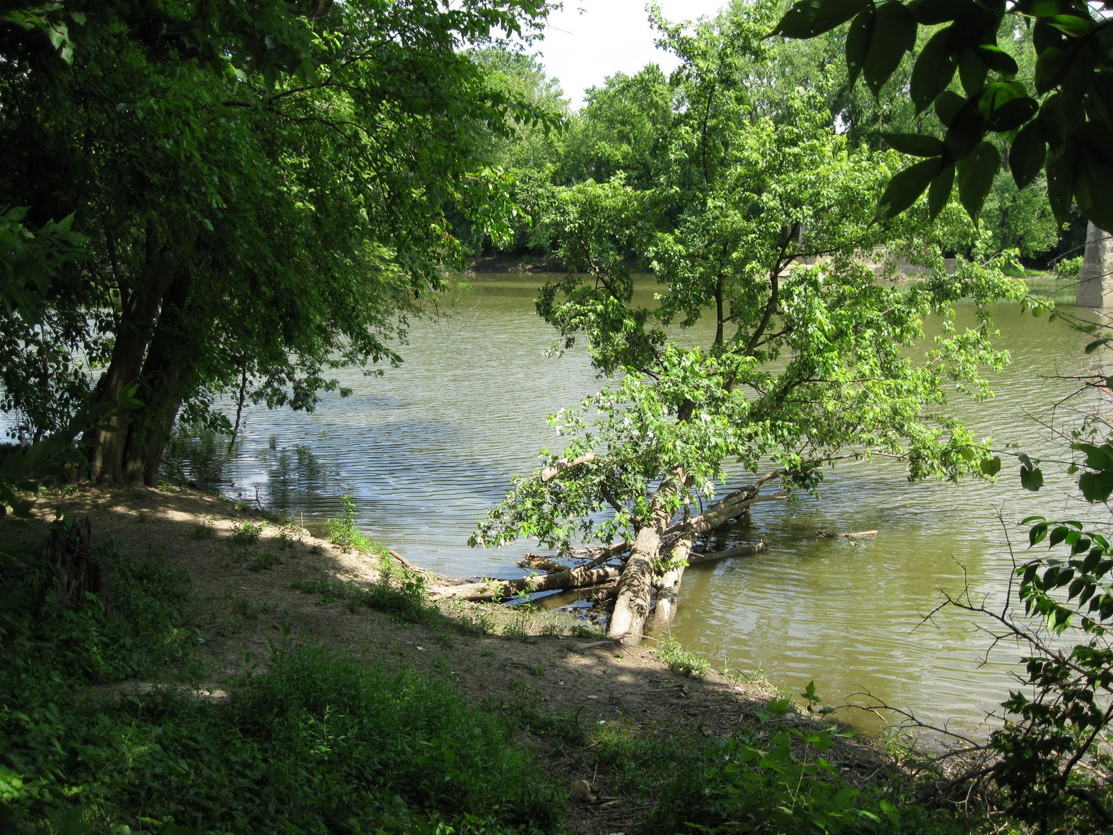 The Daily Apple Apple 520 Rivers