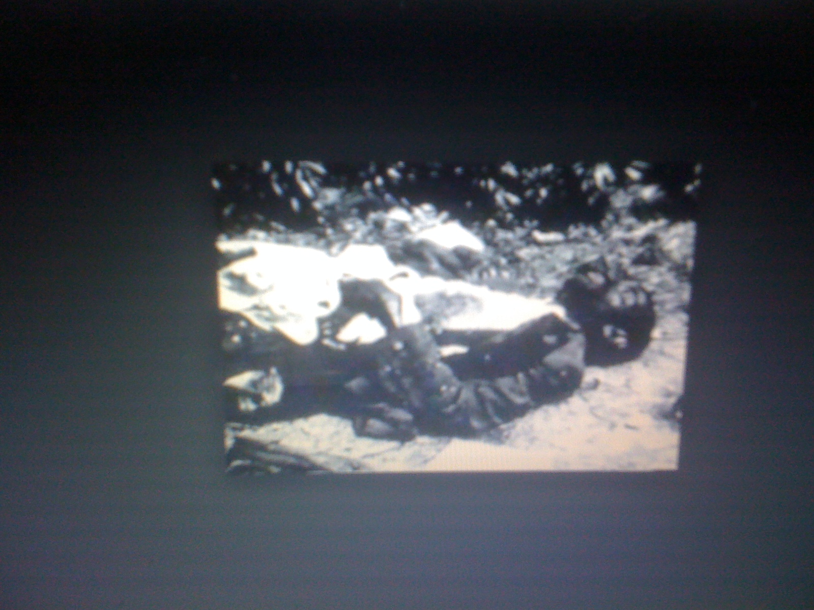 THE BLACK SOCIAL HISTORY BLACK SOCIAL HISTORY THE ELAINE RACE RIOT