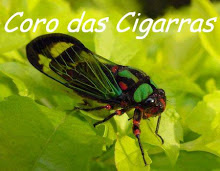 Coro das Cigarras