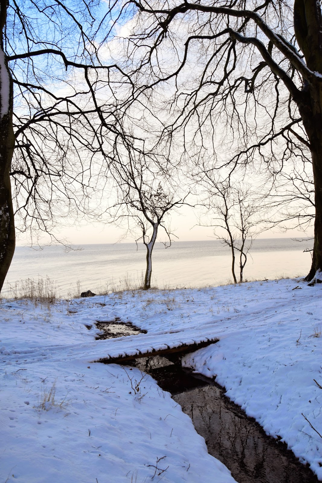 Lonevnt.blog: overnatning i det fri