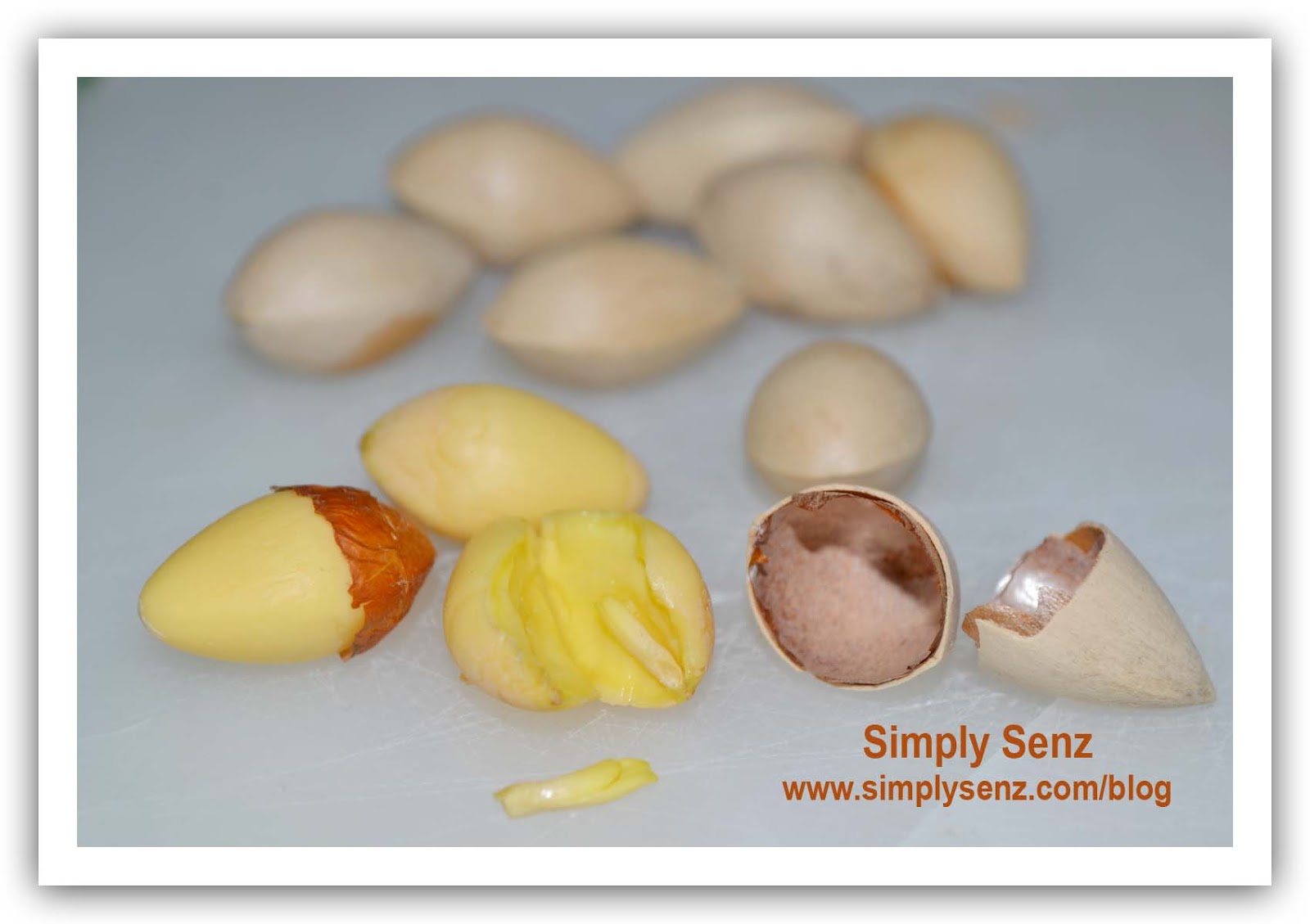 Simply Nourish Small Breed Adult Dog Food Review Simply Nourish Small Breed Adult Dog Food Review