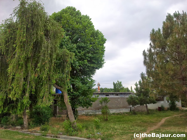 bajaur bajaur
