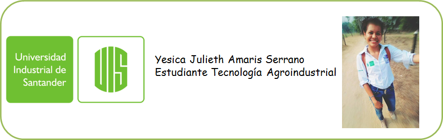 Yesica Julieth Amaris Serrano