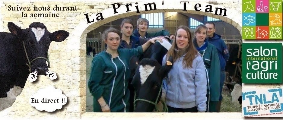 TNLA 2015 - la prim' team 