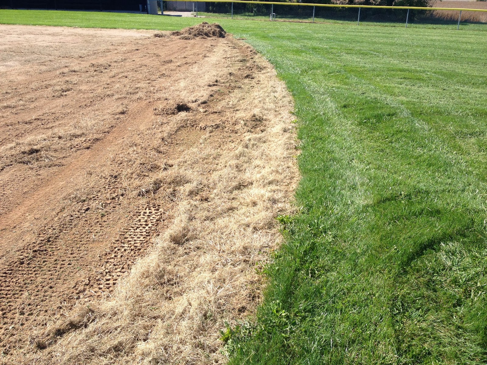 Smart Turf Be Careful with Glyphosate Sprays on Baseball and Softball