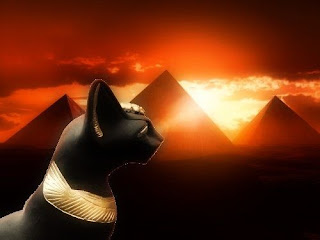 gato egipcio