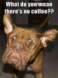 doggie.jpg