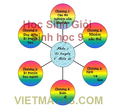 Tài liệu bồi dưỡng học sinh giỏi môn Sinh lớp 9, tai lieu boi duong hsg mon sinh lop 9 thcs