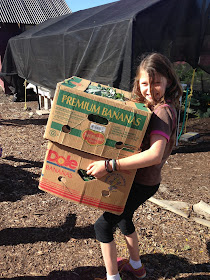 carrying boxes in the grassroots garden eugene oregon