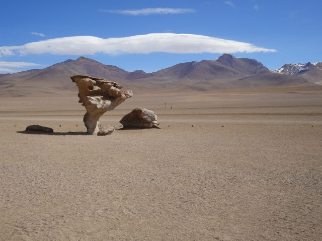Árbol de piedra en el Desierto de Siloli, Bolivia