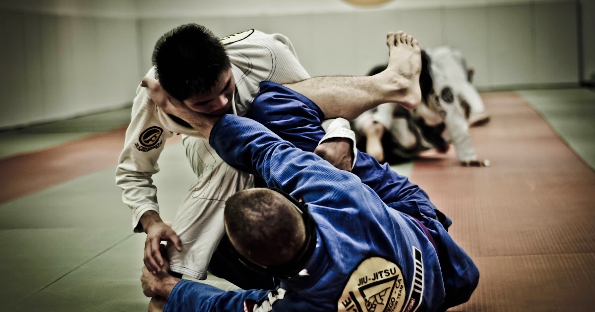 Brazylijskie Jiu Jitsu w Polsce Historia