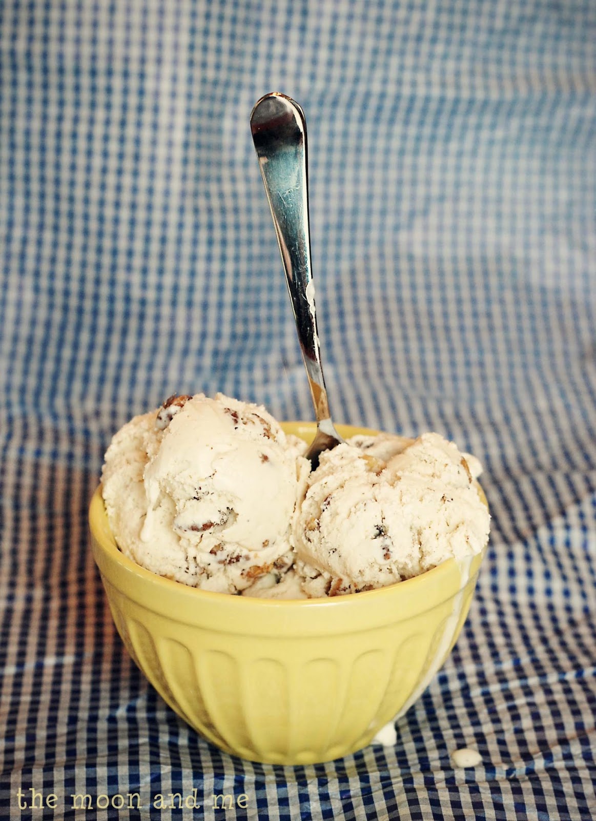 The Moon and Me Butter Black Walnut Homemade Ice Cream
