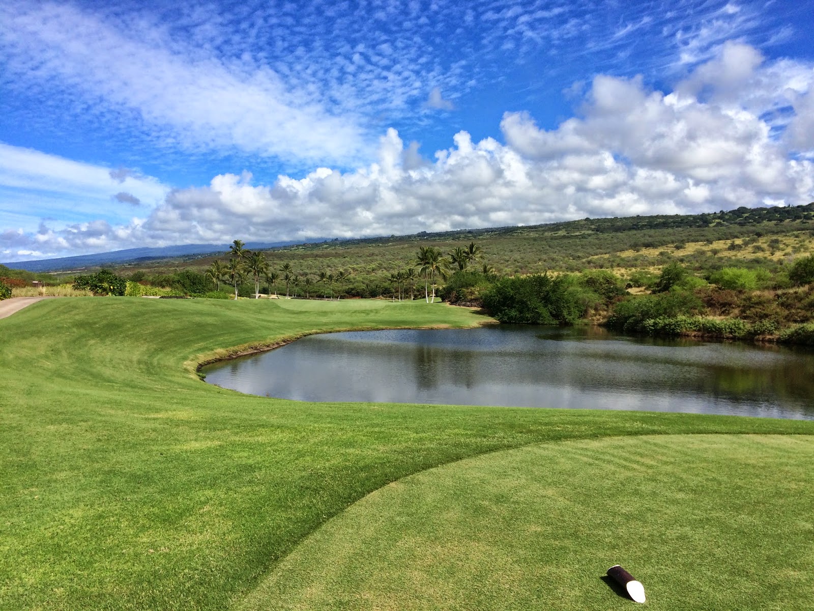 TASTE OF HAWAII HOKULIA GOLF CLUB