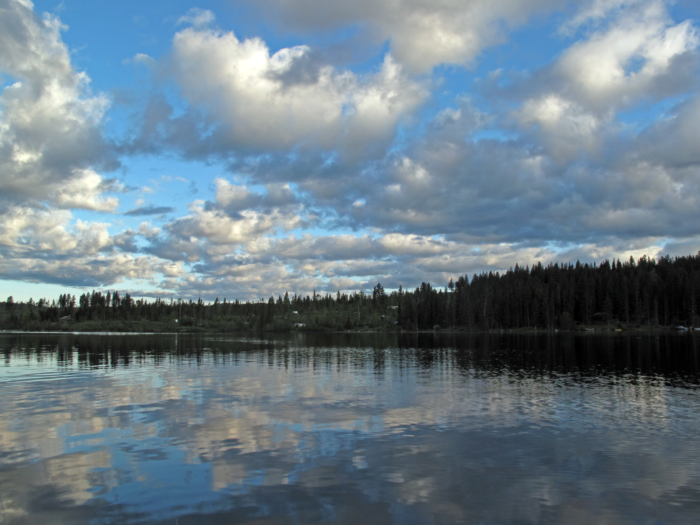 Top Flight Nature Photography Loons and lots more; Lac le Jeune
