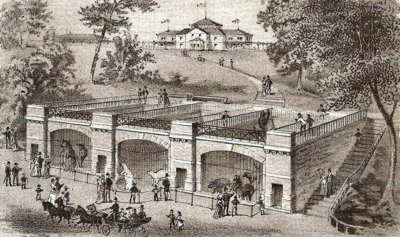 Can You Bring Food To The Cincinnati Zoo at Kathy Fisher blog