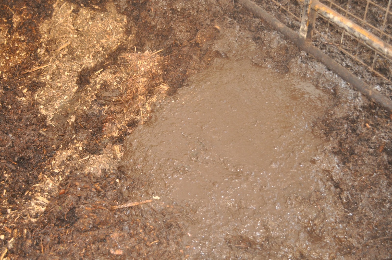 meat Back to farming...deep litter, 90 days in.