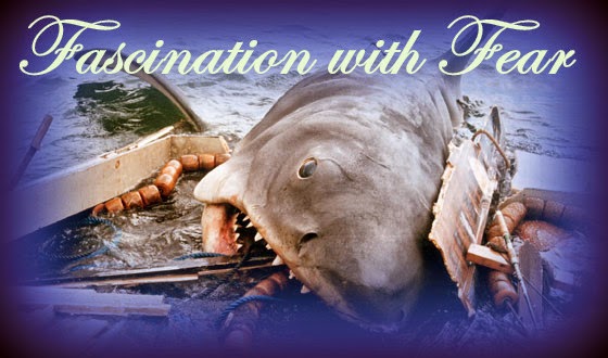 Fascination With Fear