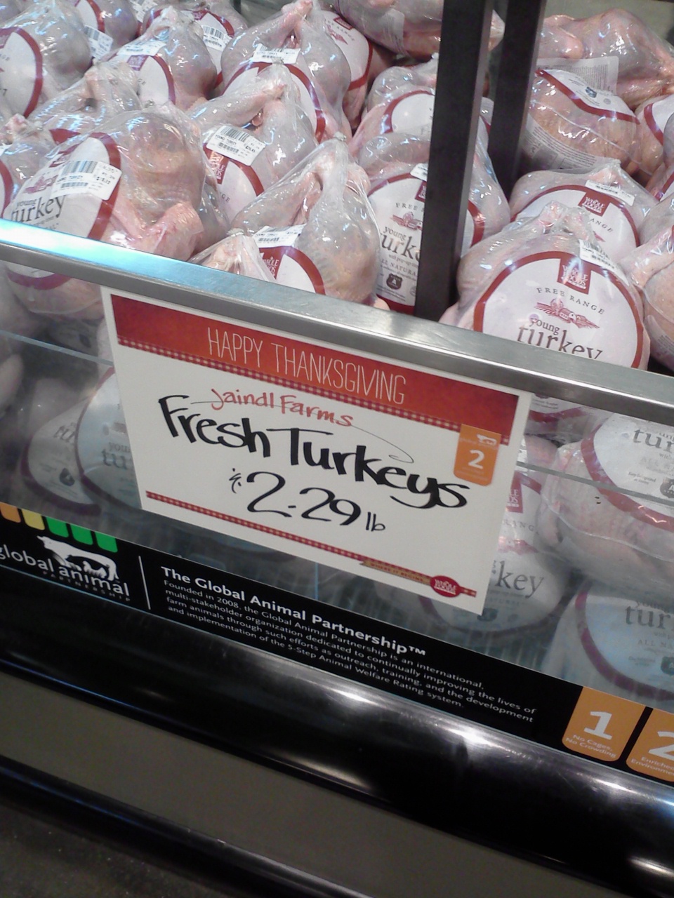 The Blueberry Files Turkey Options In Portland