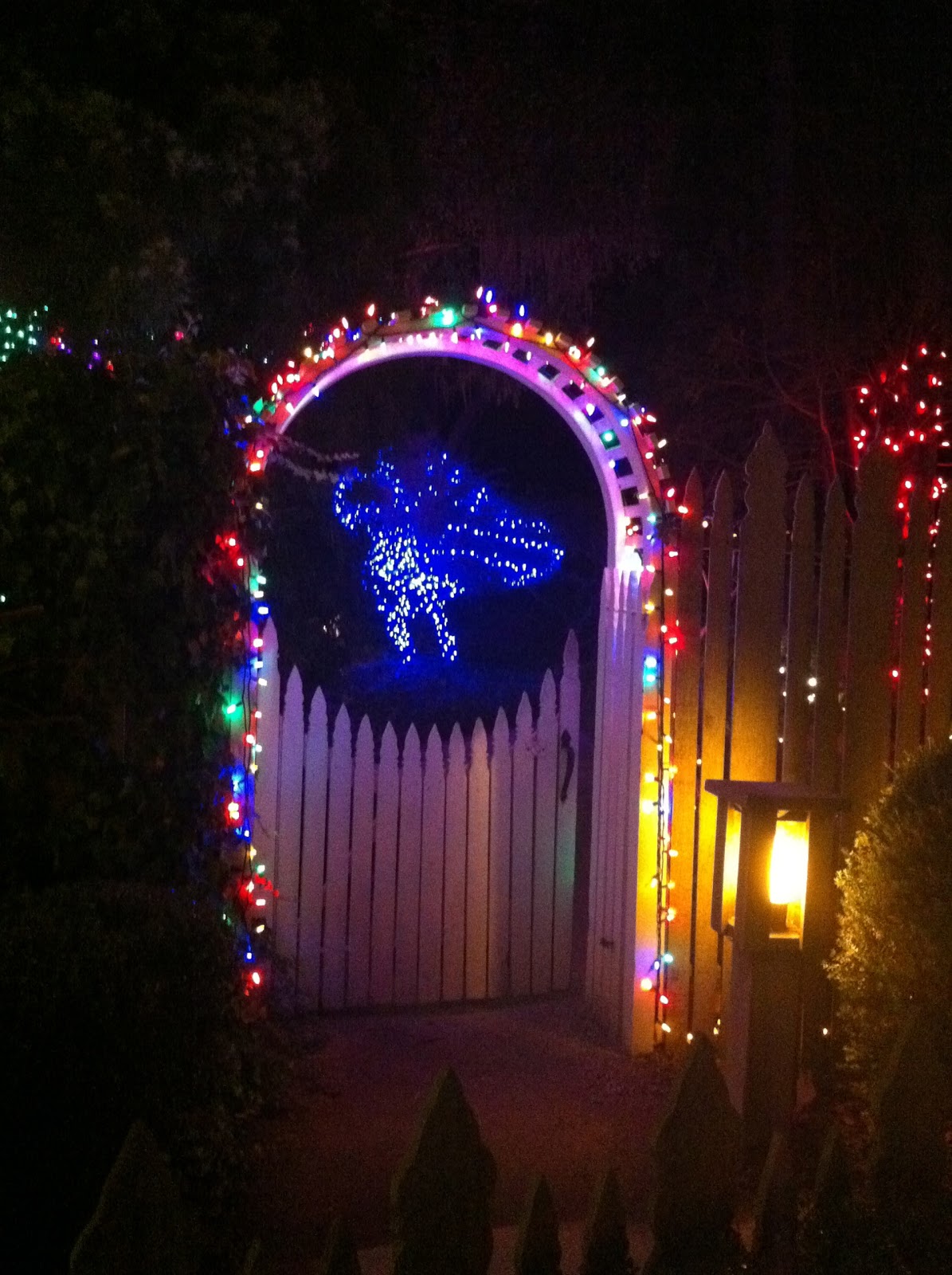 217miles Christmas lights up Cambria...