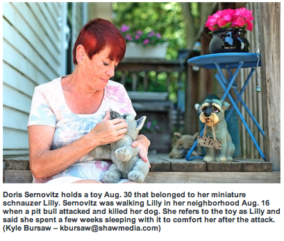 Pit Bull Attacks And Dogfighting In Illinois Sep 25 2012 Dekalb