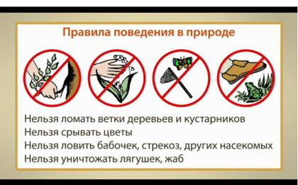 Высыпания на коже красные пятна шелушения Высыпания на коже красные пятна шелушения