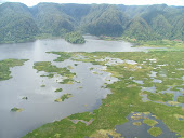 Siais Lake in Angkola Ecosystem
