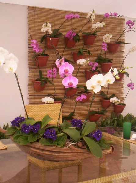 Sonhar mais um sonho Jardim vertical Sonhar mais um sonho Jardim vertical