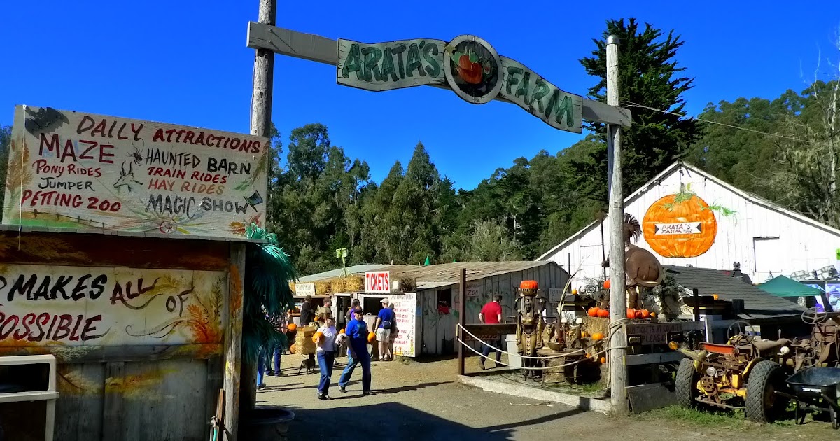 灣區手繪札記 【Half Moon Bay】萬聖節遊Arata’s Pumpkin Farm
