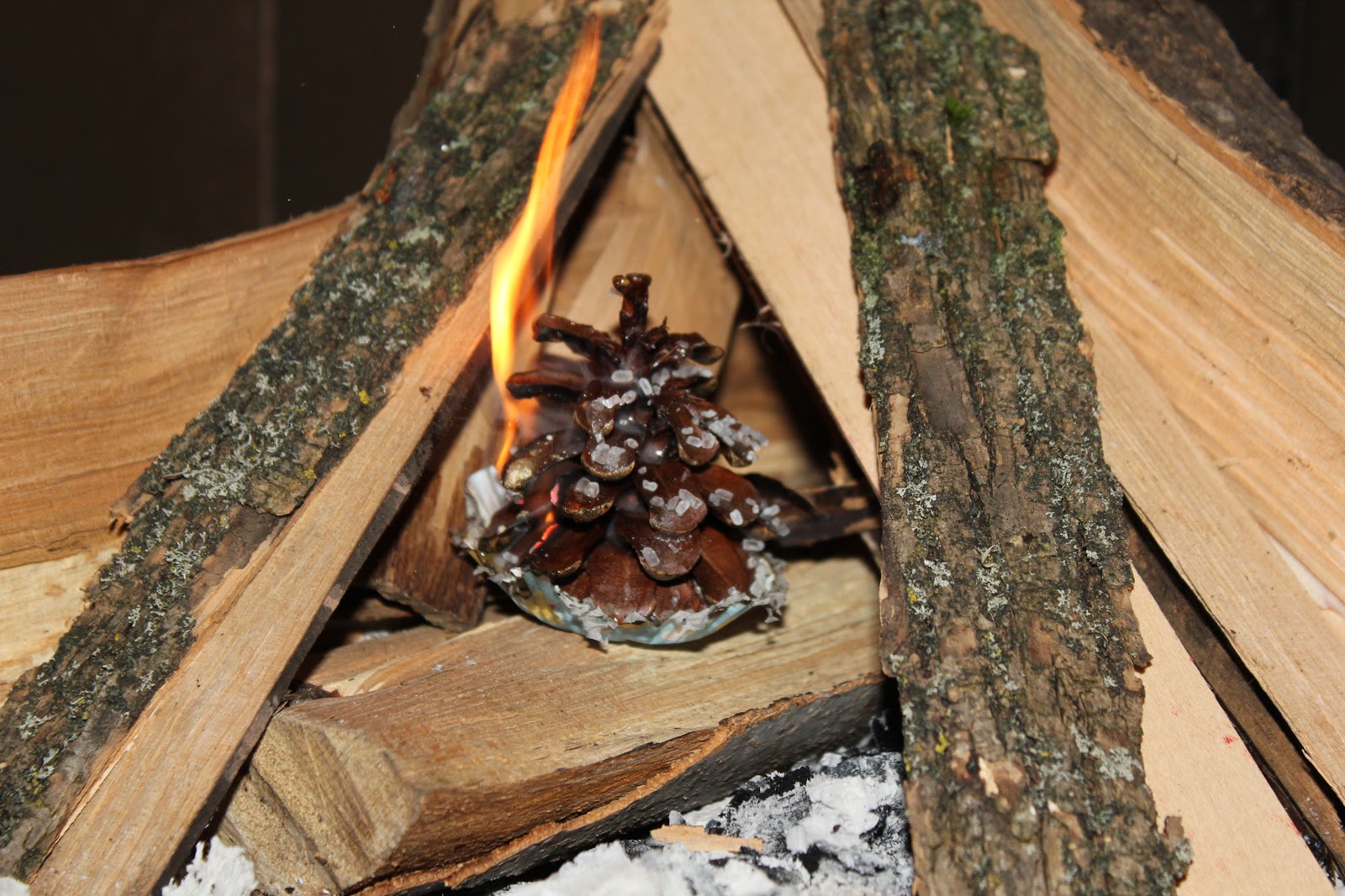 Keep Em Going Farm Pine Cone Fire Starters Things to do with our raw