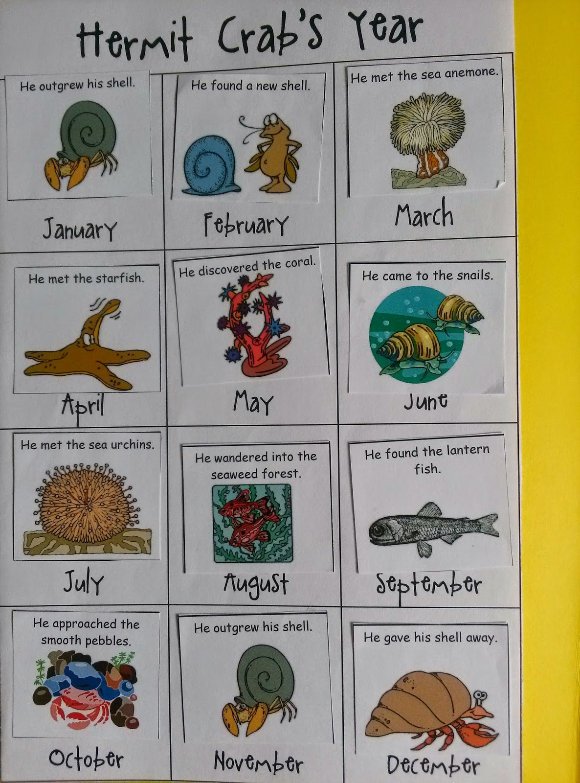 A working queen bee: Home teaching - A House for Hermit Crab