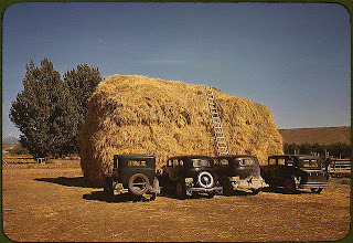 Use dynamic SQL to find a needle in a haystack Use dynamic SQL to find a needle in a haystack