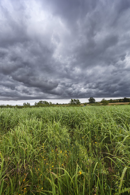 Green Cotswold landscape under threatening stormy clouds by Martyn Ferry Photography