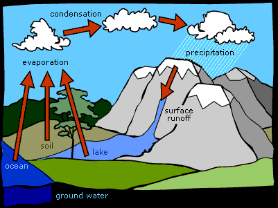 Mr. Gantt's Earth Science Lab Blog: 5th Grade-Week 3 Water Cycle
