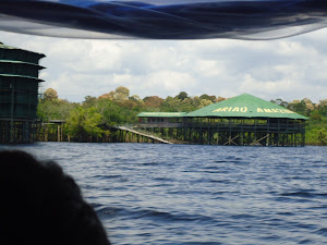 Manaus: Natureza como Nunca Vimos Antes