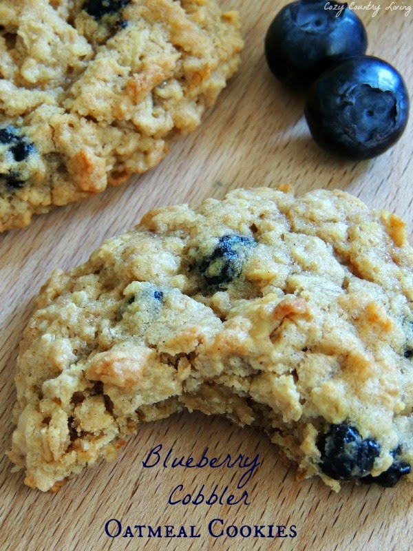 15 Blueberry Recipes on Diane's Vintage Zest!