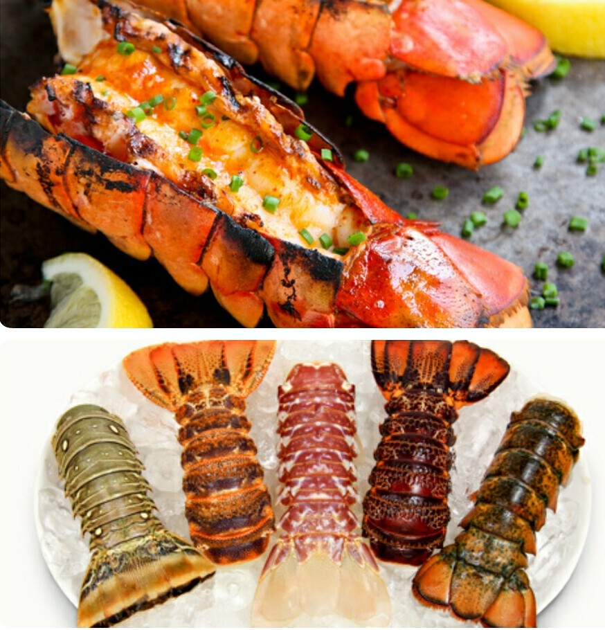 CHEF DARSHAN DABRAL GRILLED ROCK LOBSTER TAILS