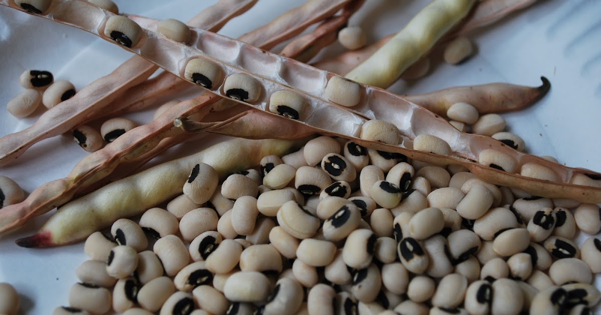 Greenish Thumb GTTC more fish... and black eyed peas