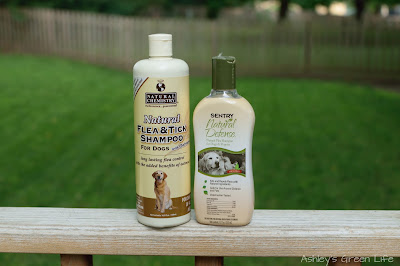 flea prevention treatment natural