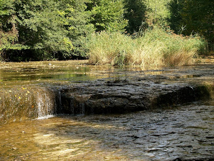 El riu Ges a prop del Camí a Targarona El riu Ges a prop del Camí a Targarona