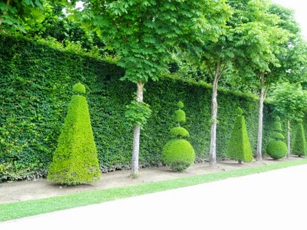 Diseño de Jardines: Diseño de jardines utilizando arboles